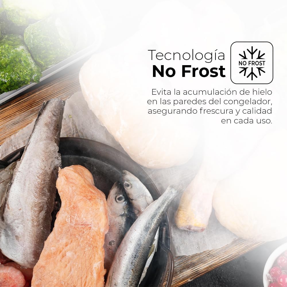 COMBI VANGUARD NO FROST VD200CM REFRIGERATOR, 203x60cm, CLASS E